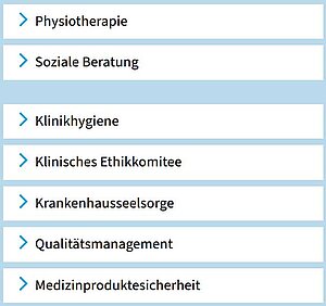 Ein Teil von der Liste mit den Punkten zu den Themen Therapie und Beratung