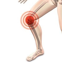 Ein Knie-Gelenk