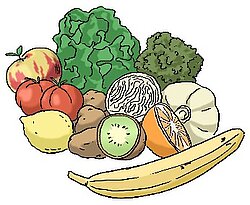 Verschiedenes Obst und Gemüse