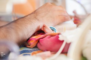 Versorgung eines Babys im Inkubator, Detail