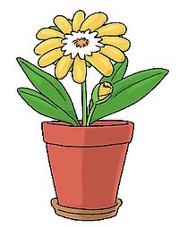 Eine Blume
