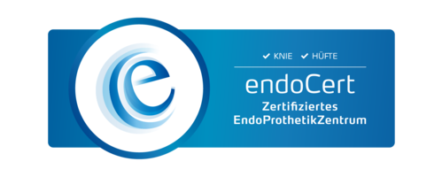 Logo endoCert